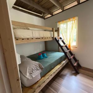 Two-Bedroom Beachfront Apartment