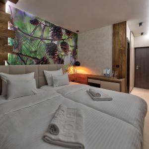 Deluxe Double or Twin Room with Mountain View