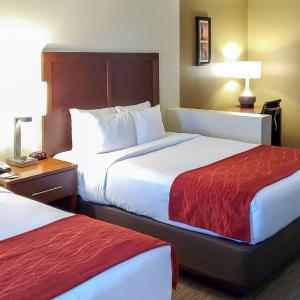 Queen Room with Two Queen Beds - Non-Smoking
