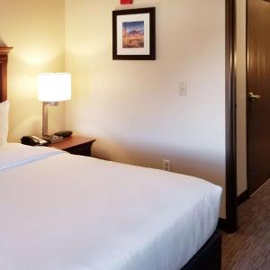 One-Bedroom King Suite with Sofa Bed - Non-Smoking