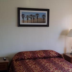 Standard Room with One Queen Bed