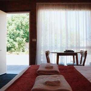 Moama Motel Queen Room