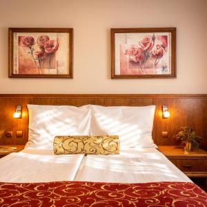 Premium Double Room with air condition 