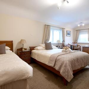 Deluxe Double or Twin Room