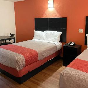Quadruple Room - Non-Smoking
