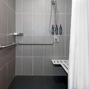 King Studio with Sitting Area and Roll-In Shower - Mobility Access