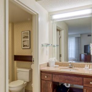 Executive One-Bedroom Suite
