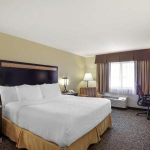 King Suite with Sofa Bed - Non-Smoking