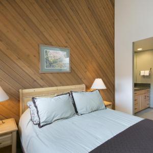 Deluxe One-Bedroom Apartment