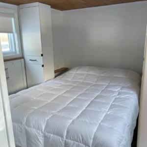 Mobile Home