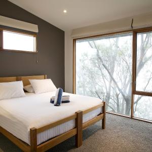 Three-Bedroom Apartment - Primo