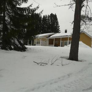 One-Bedroom Cottage with Sauna