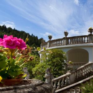 Special Offer - Comfort Plus Twin Room with Wellness Special Package