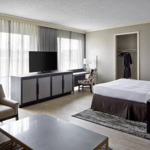 One-Bedroom King Studio Suite with Sofa Bed
