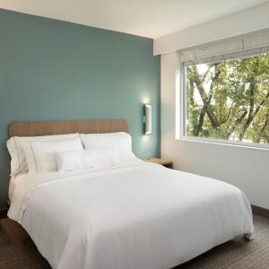King Studio with Sofa Bed - Mobility and Hearing Accessible with Transfer Shower