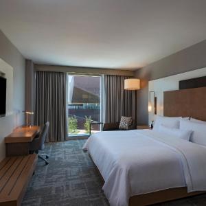 Traditional King, Guest room, 1 King
