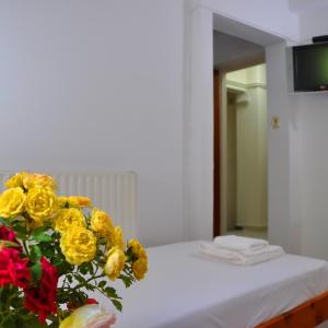 Triple Room with Mountain View