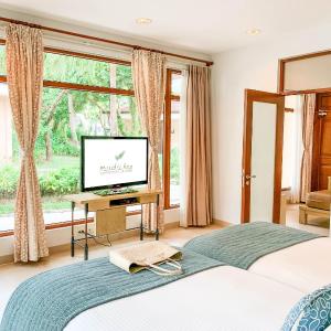 One-Bedroom Deluxe Villa