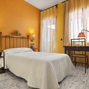 Single Room with Terrace