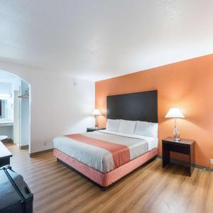 Deluxe Quadruple Room - Non-Smoking