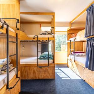 Single Bed in 6-Bed Dormitory Room