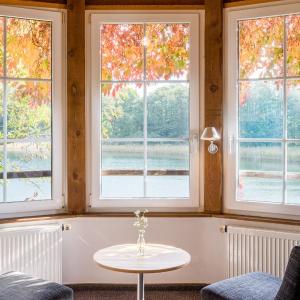 Suite with Lake View