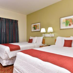 Deluxe Studio with Two Double Beds