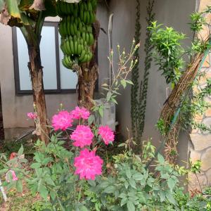 Bungalow - Water Front 