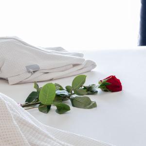 Special Offer - Double or Twin Room with Sea View - Romantic Package