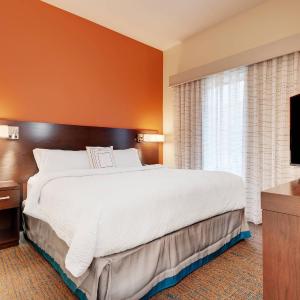 King Studio Suite with Sofa Bed and Roll-in Shower - Mobility Accessible