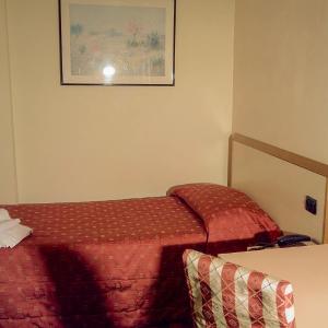 Standard Single Room with Mountain View