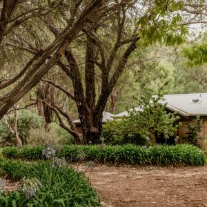 Ibis Deluxe Cottage
