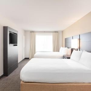 One-Bedroom Queen Suite with Sofa Bed