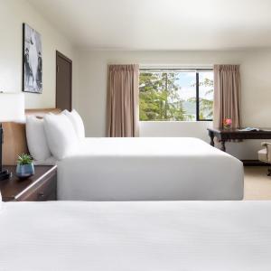 Deluxe Queen Room with Two Queen Beds - Non-Smoking