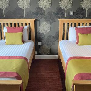 Business Twin Room
