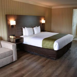 Standard Room, 1 King Bed, Sofa Bed, Non Smoking