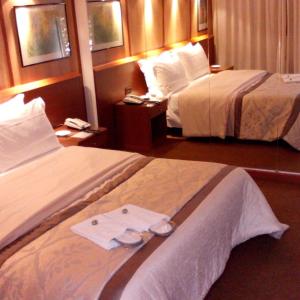 Comfort Single Room
