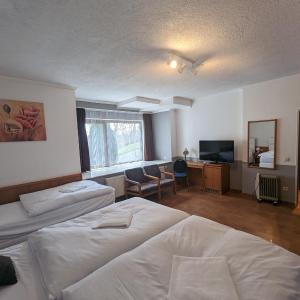 Basic Triple Room