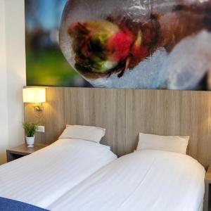 Comfort Double/Twin Room