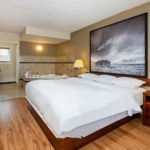 King Room - Disability Access/Non-Smoking