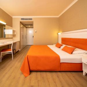 Classic Single Room