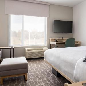 King Studio with Sofa Bed - Hearing Accessible