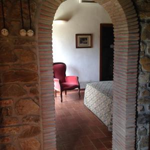 One-Bedroom Apartment - Annex