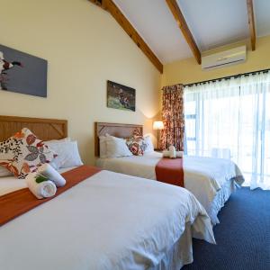 Superior Double Room (Hotel Room) 