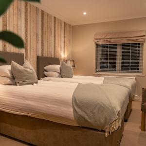 Boutique Twin - (Twin room)