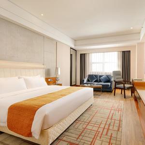 Elegant City View King Room