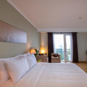 Deluxe Parkview Double with city view