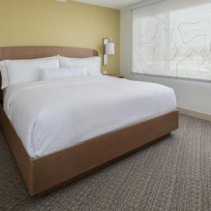 One-Bedroom King Suite with Sofa Bed 