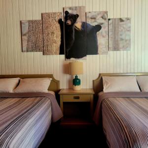 Motel Room #8