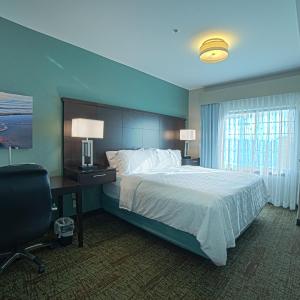 Studio Queen Suite